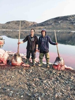 0402Shaiane Kootook_WINNER<br /> Shaiane Kootook<br /> Taloyoak<br /> Wayne and Andrew Aiyout with their first narwhal. On the other side of the ocean, on a beautiful day, August 21, 2017.