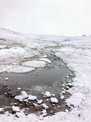 1510Katrina Germino_WINNER Katrina Germino Pond Inlet Winter is coming! The first fall of snow in Pond Inlet, Sept. 2018.