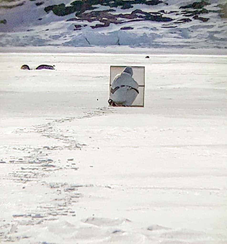 photo courtesy of Maata Qaapik Alivaqtaq<br /> Pangnirtung.<br /> My son Trevor Alivaktuk, stalking seals. There’s 3 seals, he shot 2 but the other one went down. This is near Kekerten Island, outside of Pangnirtung.<br /> June 2, 2018.