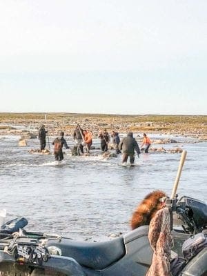 2409Molly Aggark Molly Aggark Rankin Inlet A few locals from Rankin Inlet, at the Diane River Saputi catching fish with nets and kakivaks . Aug. 25, 2018.