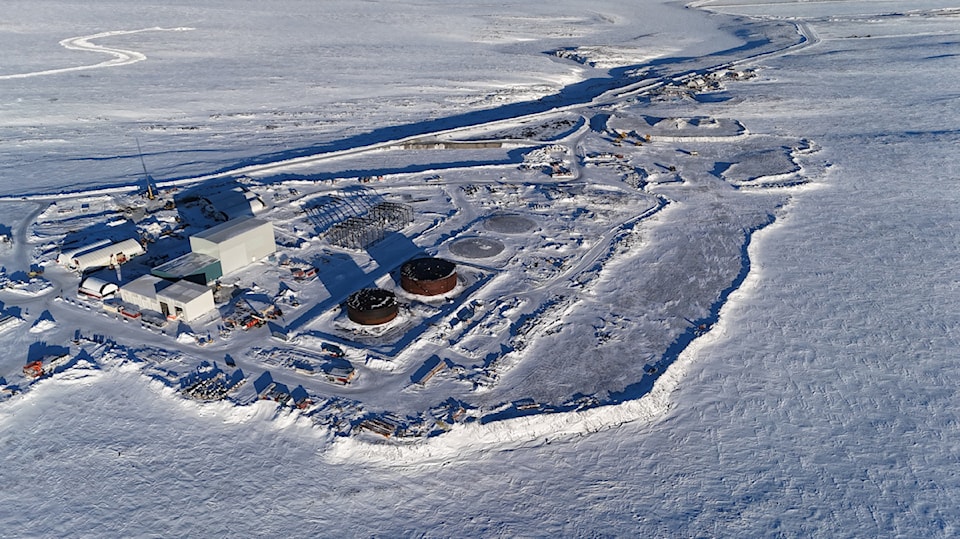 goose-mine