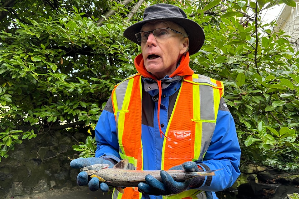 Friends of Bowker Creek board member Gerald Harris holds the dead salmon.