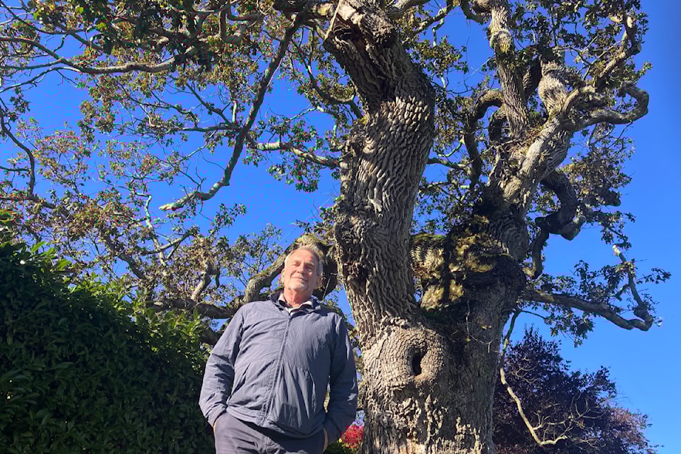 treeappreciationchrishydelay