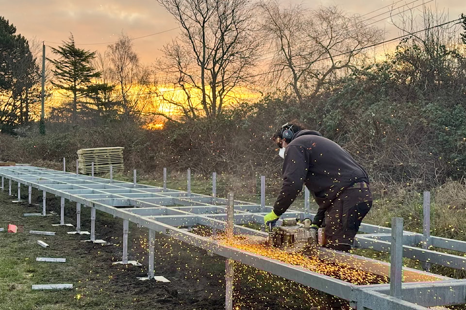 Oak Bay crews install a boardwalk to create a winter walking loop above the mud in Uplands Park. 
