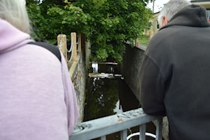 Victoria found to be source of contamination of Bowker Creek in Oak Bay