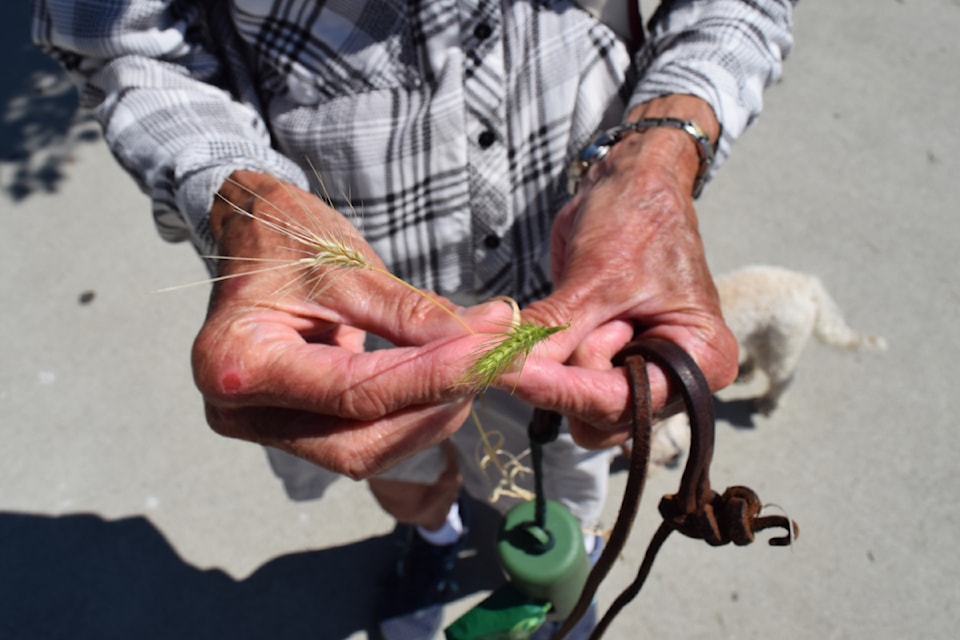 250718-speargrass-oak-bay-1