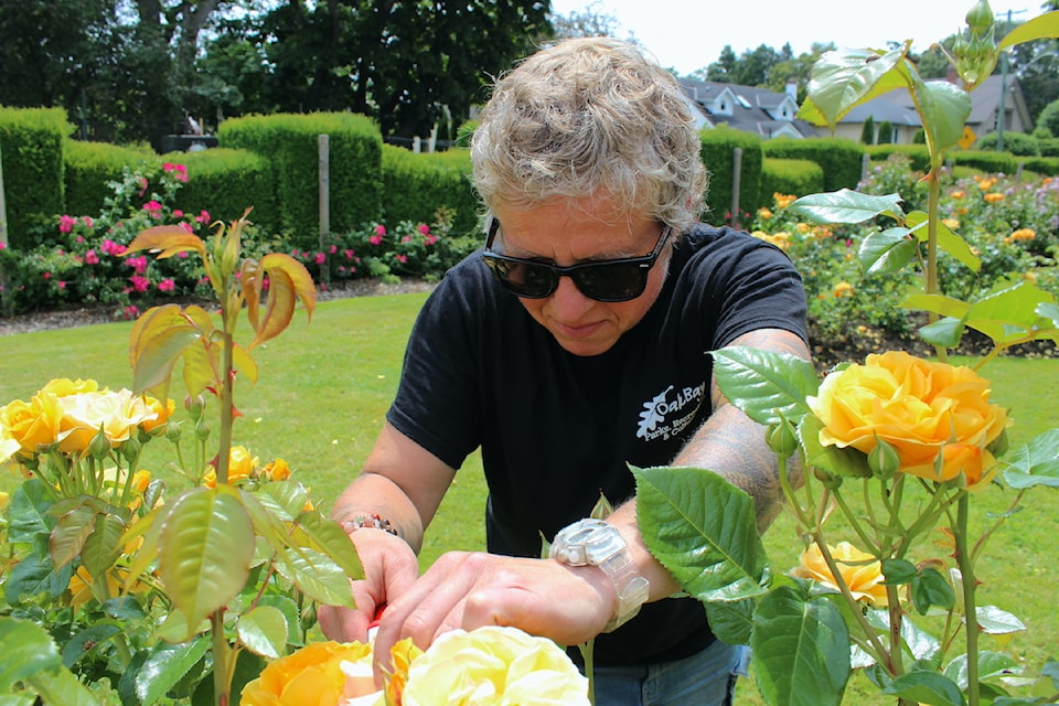 Lenny Strohschein has tended the Rose Garden's flowers for 15 years.
