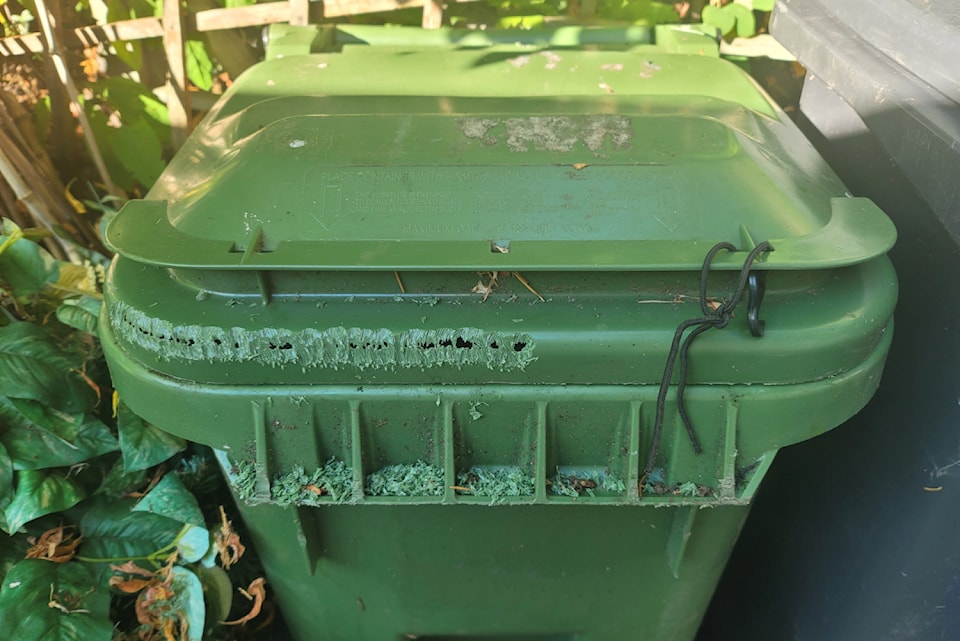 bin