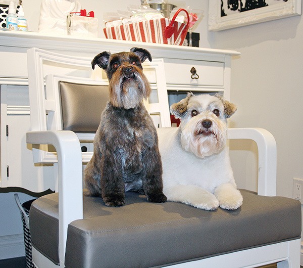 Mucky mutt pet sales salon