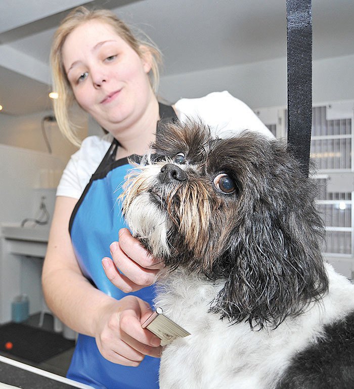 Mucky mutt pet sales salon