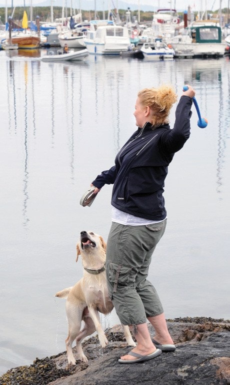 Fetch on the rocks