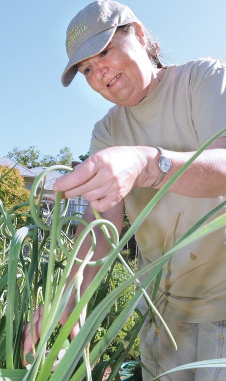 OB Community Gardens