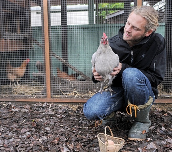 Oak Bay chickens