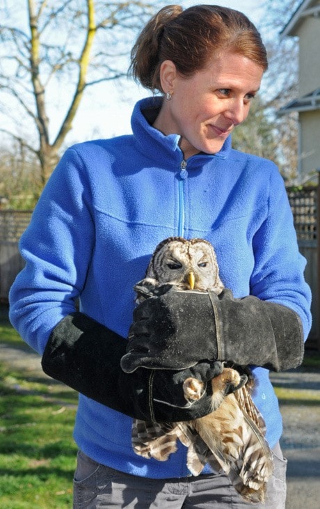 Owl Release 1