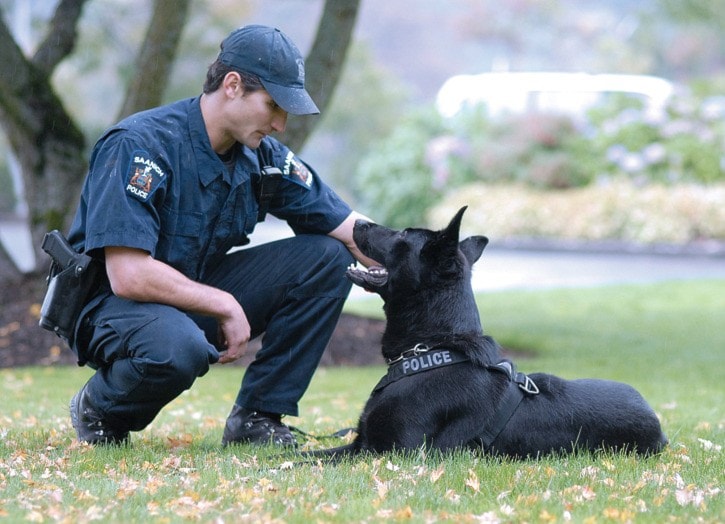 Saanich Police dog
