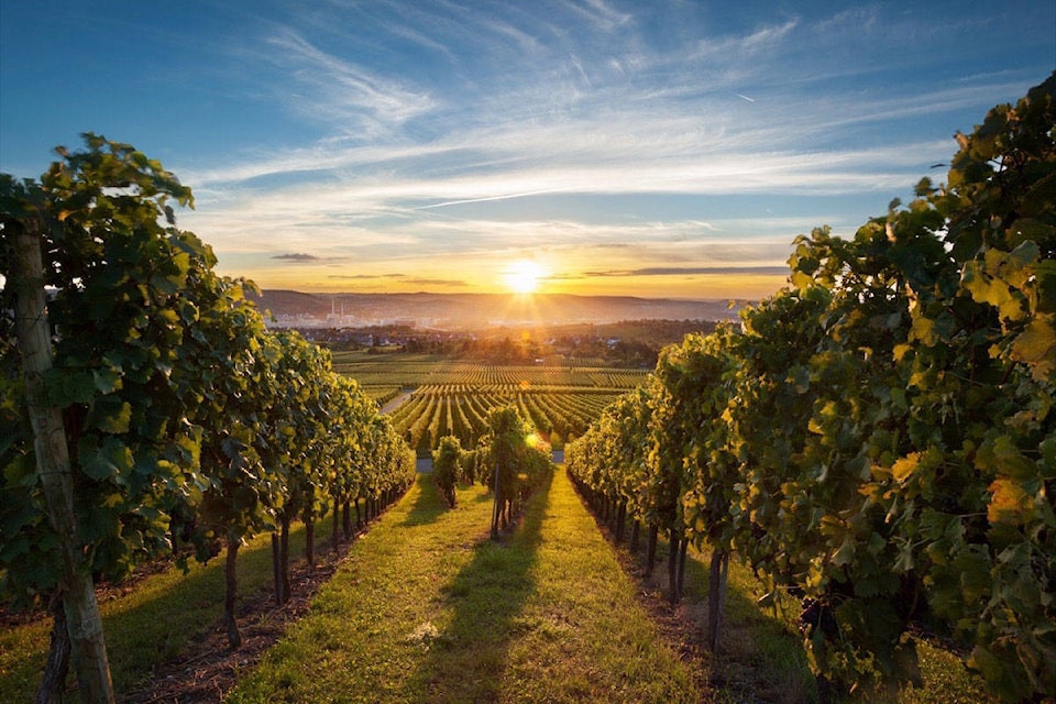 web1_170707-BPD-T-Kelowna-Winery