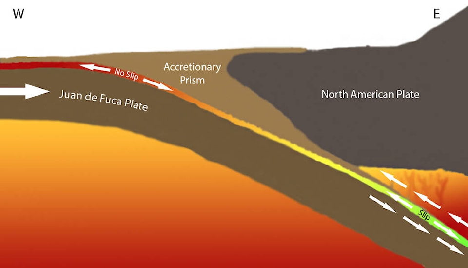 Plate definition in science discount