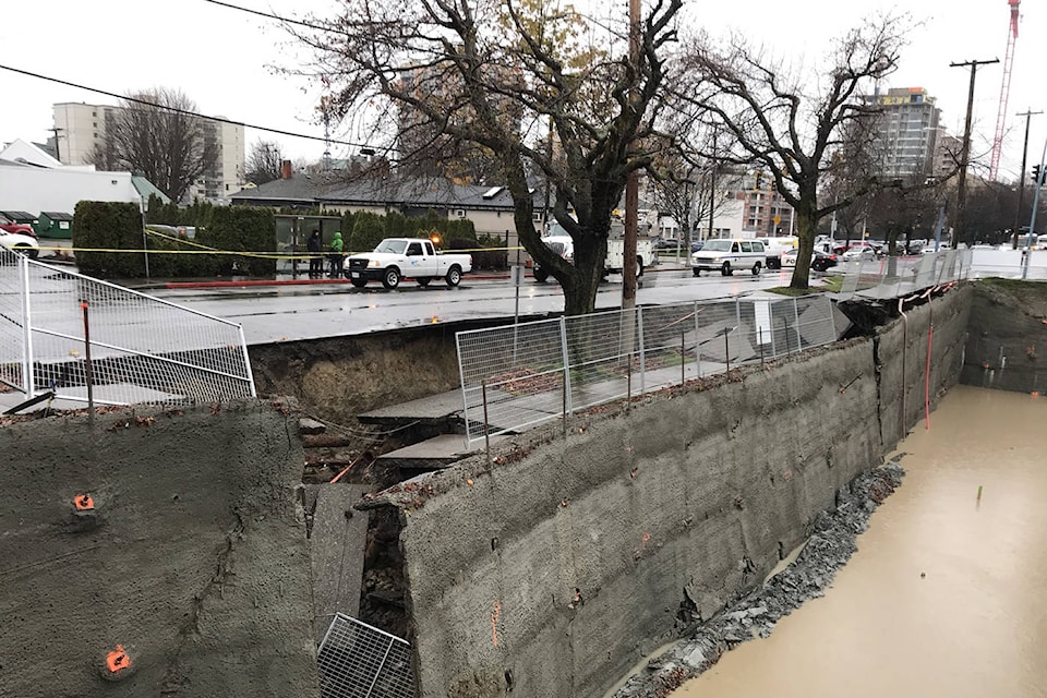 A tree stands tall despite the sidewalk collapse below it near Cook Street Johnson streets this morning. (Keri Coles/Oak Bay News)