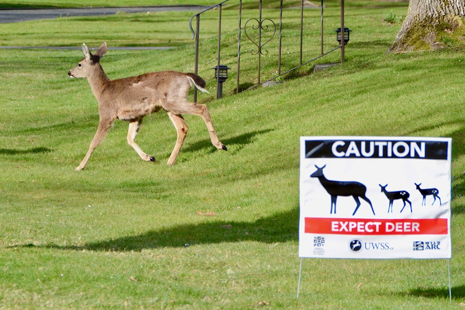 11866320_web1_Deer-crossing-with-sign