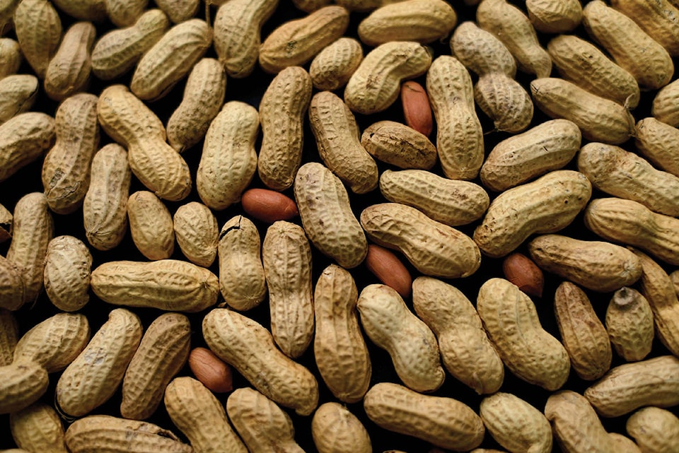 16704510_web1_180221-RDA-Peanut-allergies-for-web