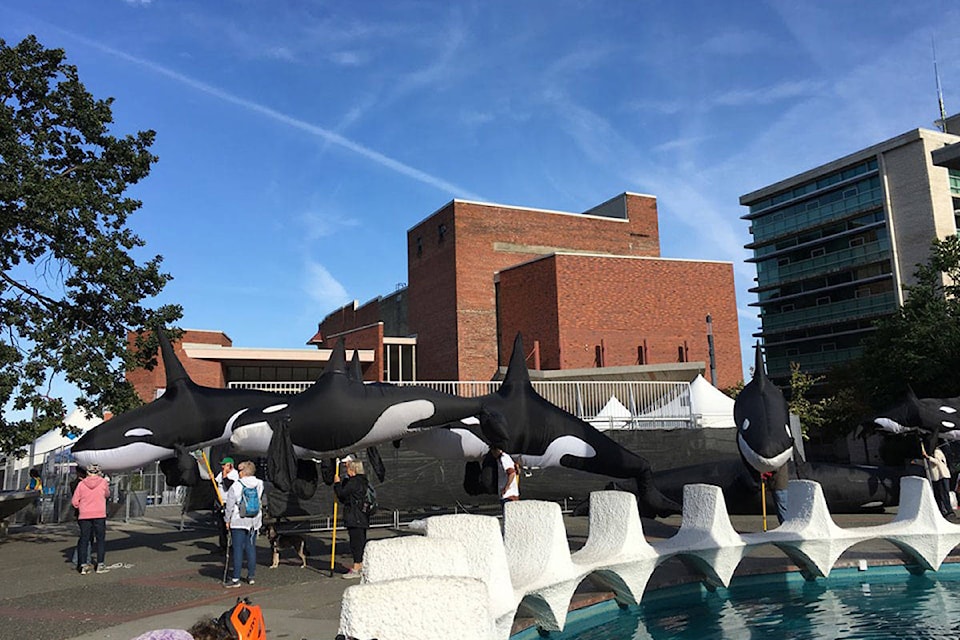 The inflatable orcas getting ready for the march courtesy of the Canadian Orca Rescue Society. (Devon Bidal/News Staff)