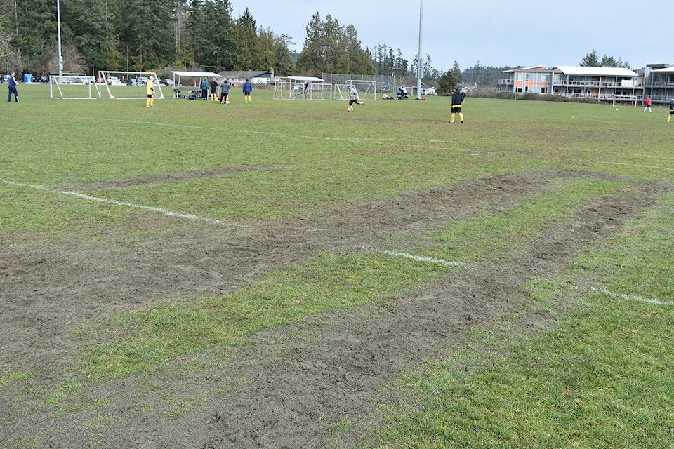 20696201_web1_200225-PNR-SOCCER-PITCH-BLUE-HERON_1