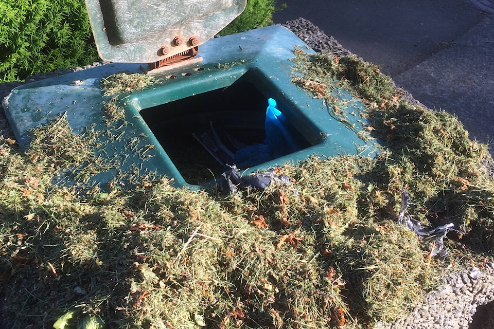 Grass clippings dumped onto a municipal garbage can outside Anderson Hill Park on Saturday (June 6). (Christina Johnson-Dean Photo )