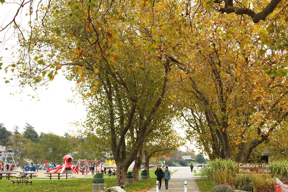 Park-users enjoy a chilly fall day in Cadboro-Gyro Park. (Devon Bidal/News Staff)