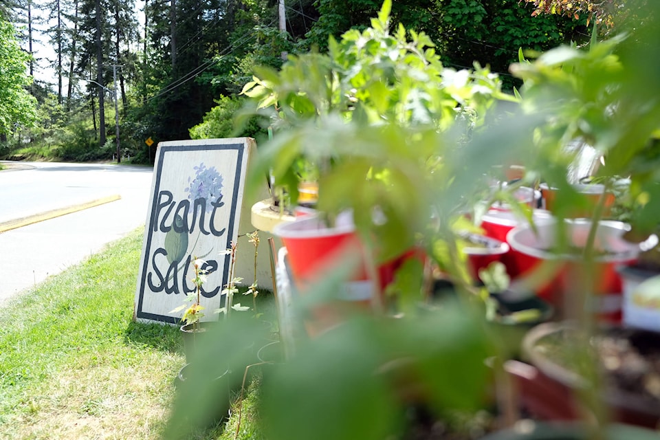 25120478_web1_210510-GNG-colwood-garden-plant-sale-_1