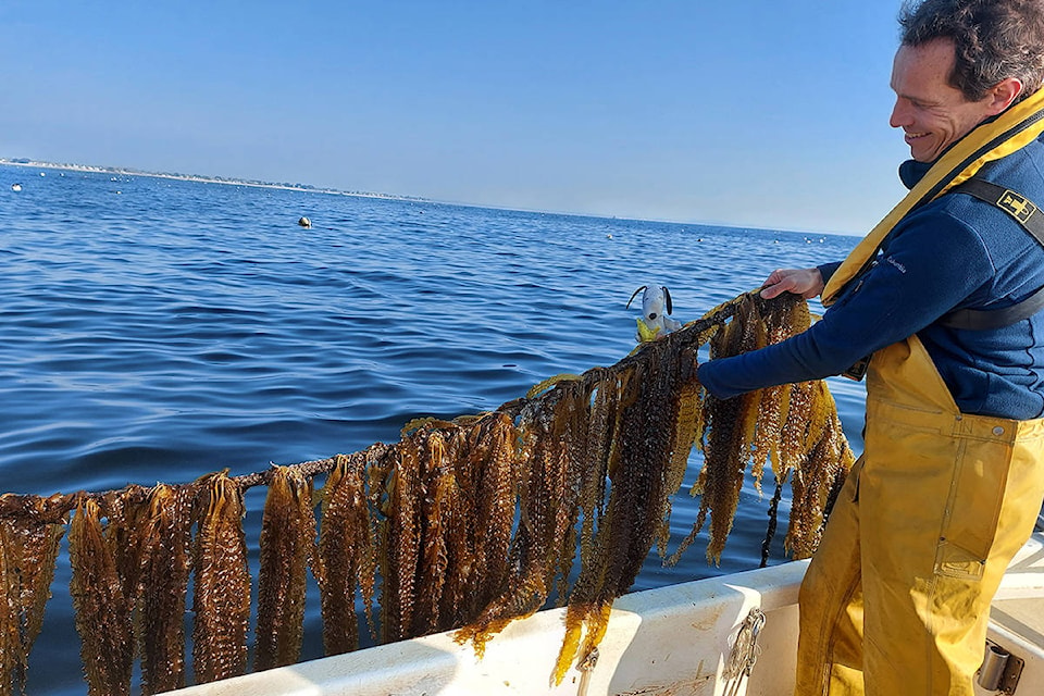 25189062_web1_210517-PNR-SeaWeedFestival-1_1