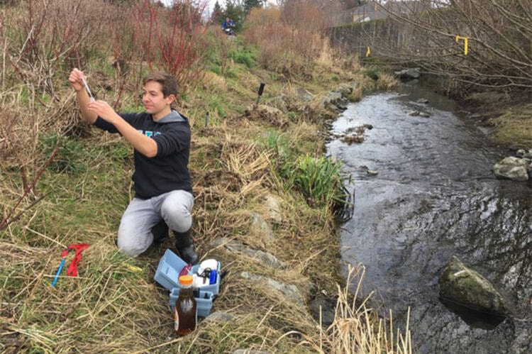 Brandon Williamson, who graduated two years ago with a biology degree from the University of Victoria checks out caddisfly larvae found in Bowker Creek in Oak Bay. (Gerald Harris photo)