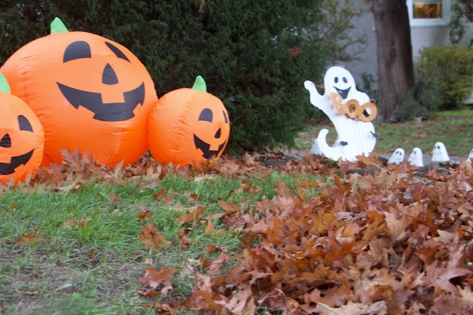 PHOTOS: Trick or treat! Halloween comes to Fernwood in January - Greater  Victoria News