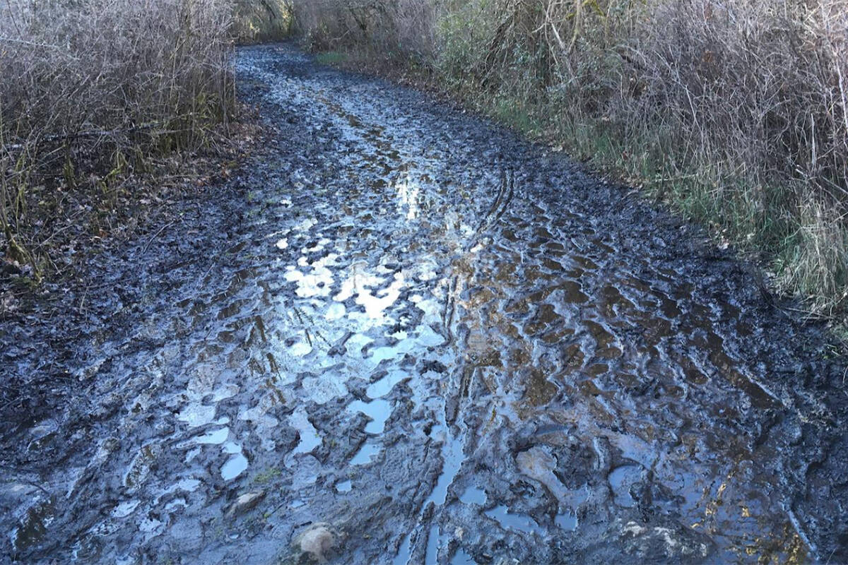 The paths in Uplands Park flood in the winter pushing users into sensitive ecosysteams. (Wylie Thomas photo)