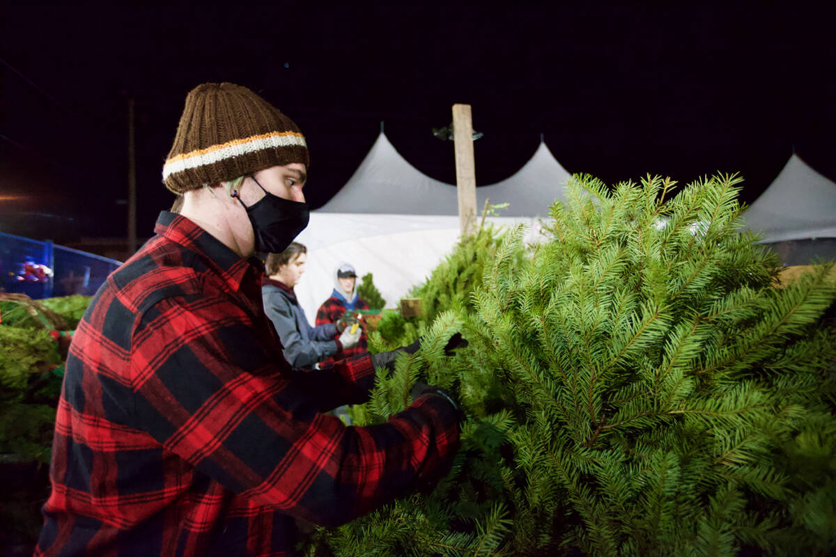 Rowan Bell joined the tree lot for the first time this year and already he feels he has gained much needed confidence and customer service skills. (Justin Samanski-Langille/News Staff)