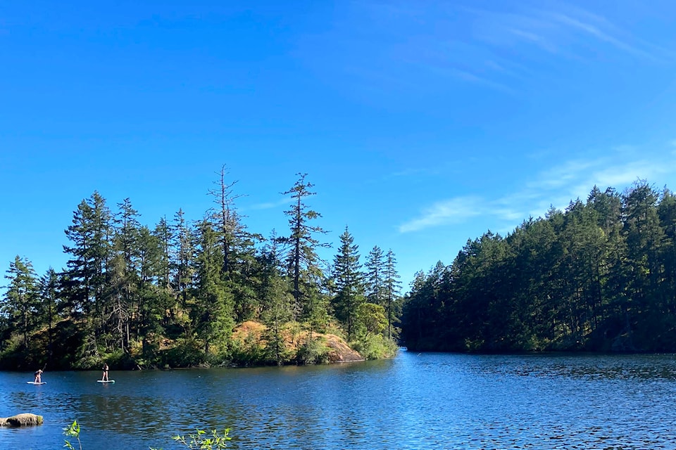29672936_web1_220705-VNE-BOTC-franicsking-thetis-lake-millhill-photos_5