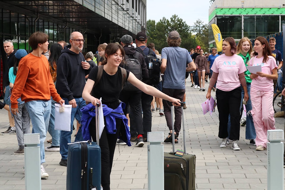 Oak bay sales online work shoes