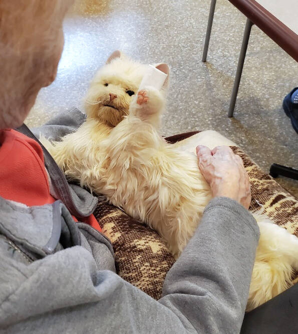 31170568_web1_221205-Impress-PNR-SPHHF_1