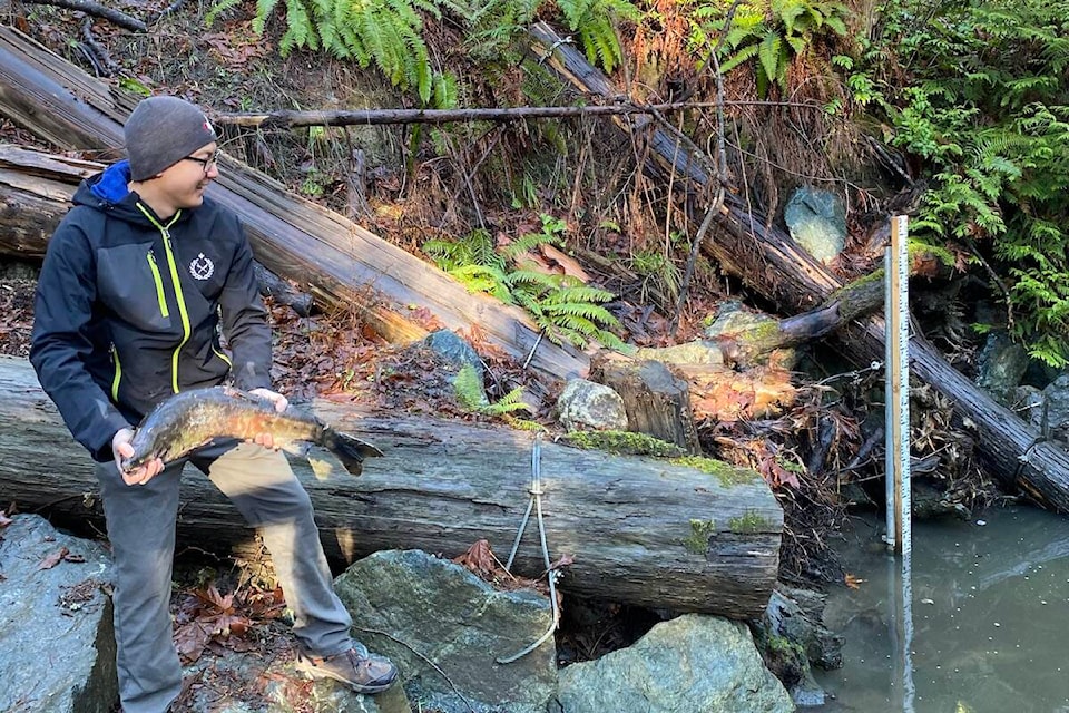 Tossing dead salmon in Douglas Creek brings marine-derived nutrients like nitrogen, carbon and phosphorus into the creek. (Brendan Mayer/News Staff)