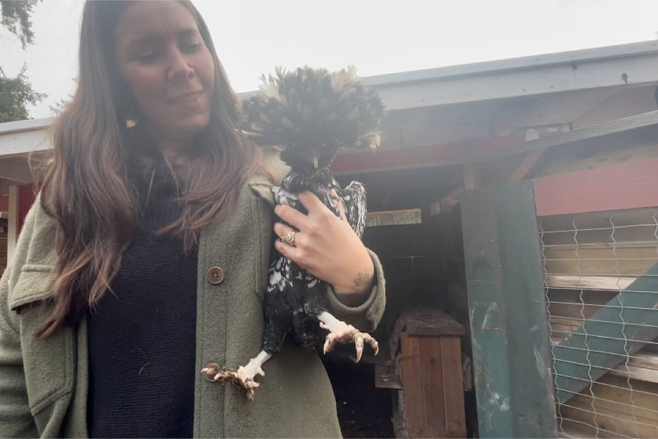 Jess Duncan holds Toque the shy chicken at Bear ‘N Bee Therapeutic Farm. (Hollie Ferguson/News Staff)