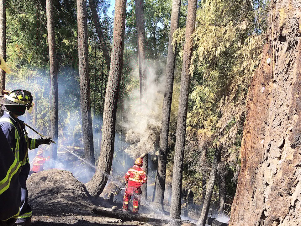 240807-pqn-brushfire