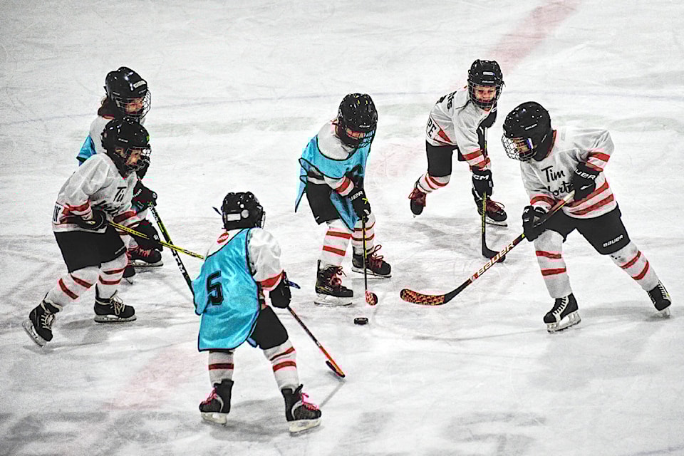 The U8 Division of the Oceanside Minor Hockey entertained the crowd at the Howie Meeker Arena