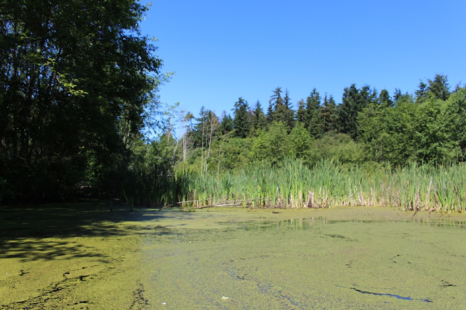 240619-french-creek-estuary