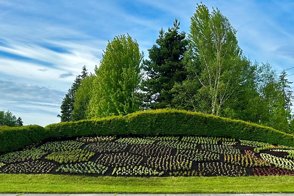 240619-pqn-parksville-planting
