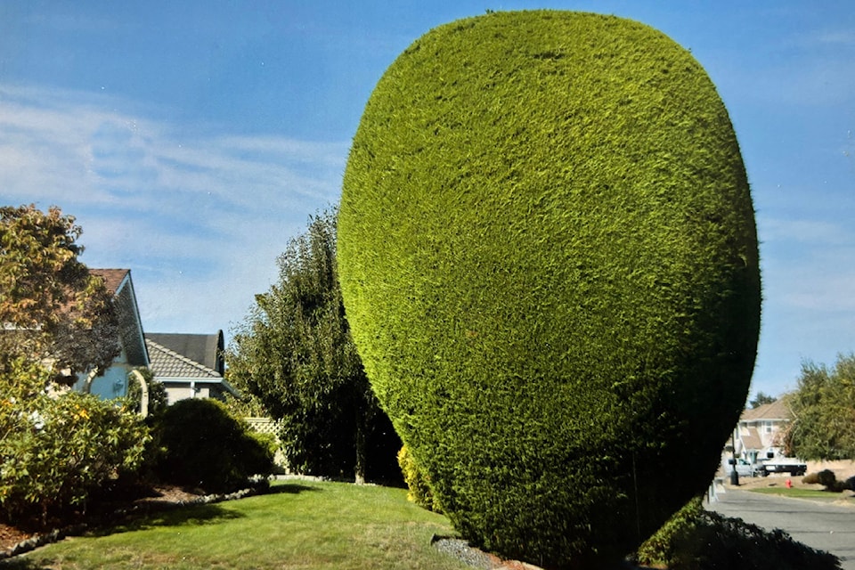 egg2