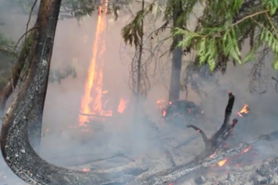 The Wesley Ridge wildfire continues to burn out of control near Cameron Lake.