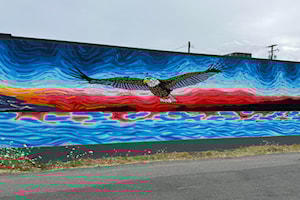 Parksville's latest mural inspired by a sunset in Qualicum Beach