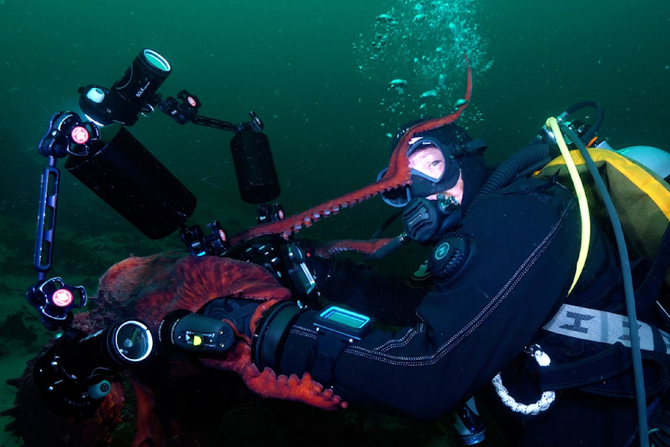 250827-pqn-john-roney-octopus