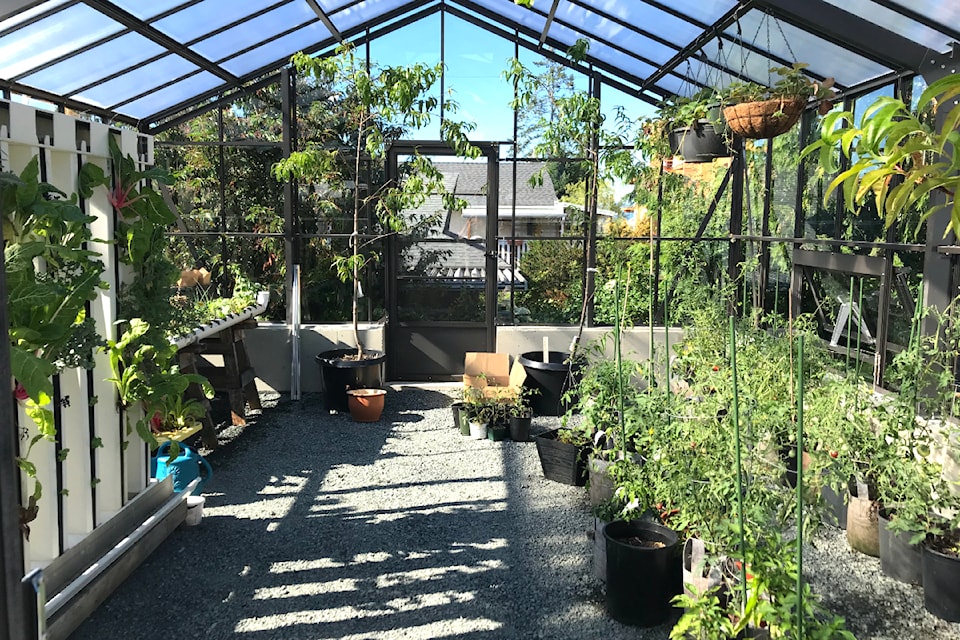 250205-pqn-mac-community-garden