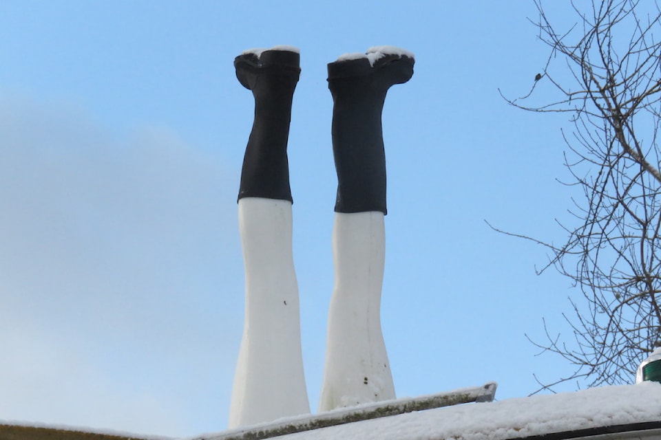 250212-legs
