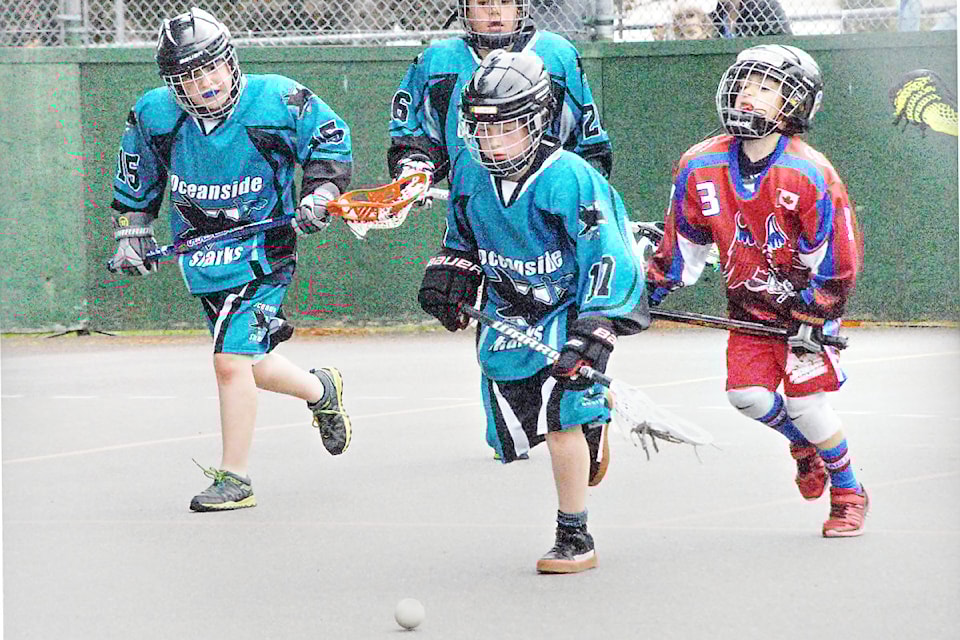 250219-pqn-minorlacrosse